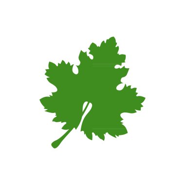 Üzüm Yaprağı Doğa