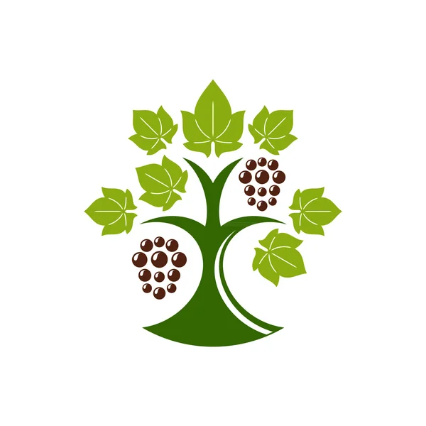 Renkli üzüm ağacı