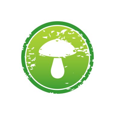 Mantar Gıda Pişirme