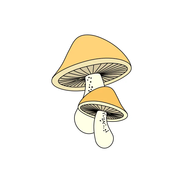蘑菇在颜色的食物性质 — 图库矢量图片