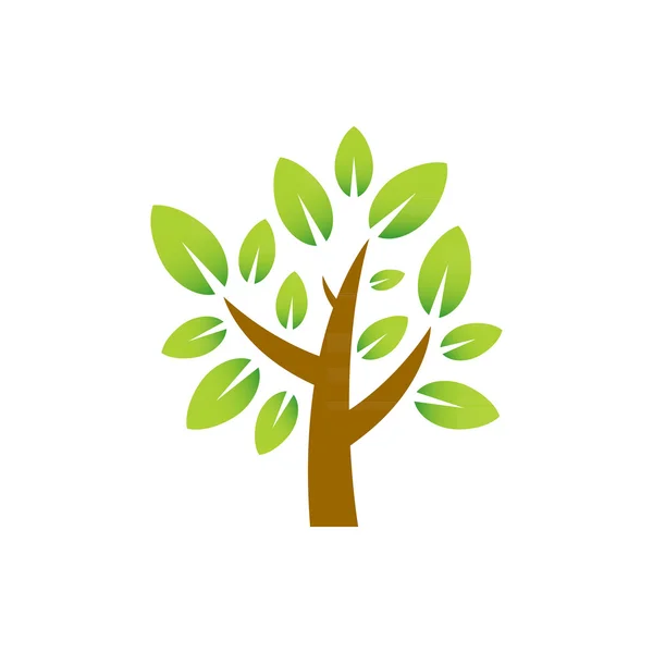 Plum Tree Nature — Stock Vector