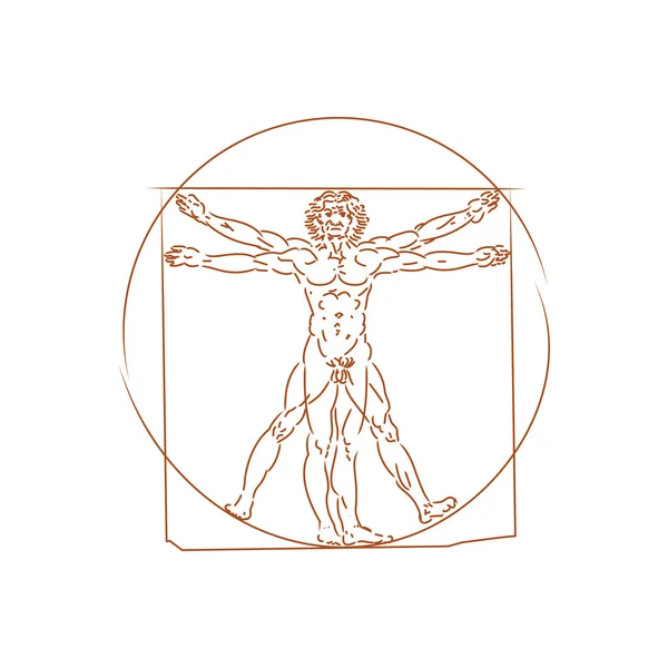 The Vitruvian Man — Stock Vector