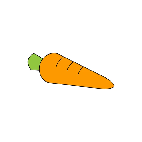 Рослини моркви овочеві — стоковий вектор