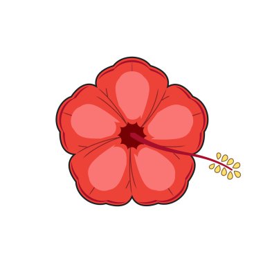 Tropikal Çiçek Yaz