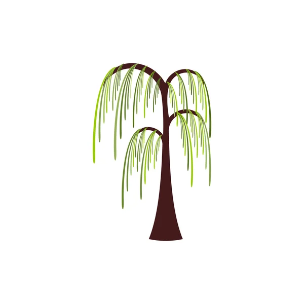 Sauce árbol de madera de planta — Vector de stock