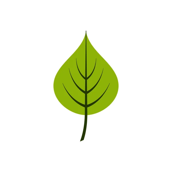 Hoja de tilo Naturaleza — Vector de stock