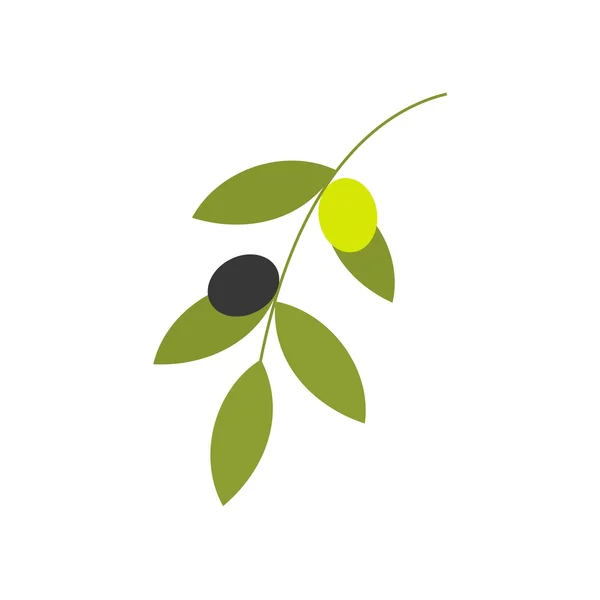 Olive rama vector ilustración — Vector de stock