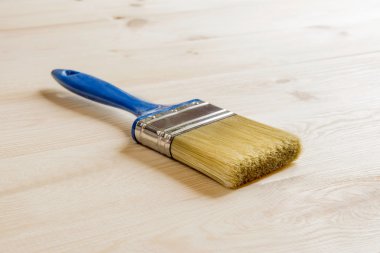 Masanın üzerine fırça