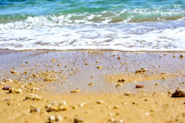 Sahilde sörf yapmak.