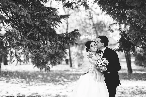 Bellissimo matrimonio invernale — Foto Stock