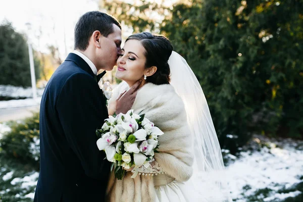 Bellissimo matrimonio invernale — Foto Stock