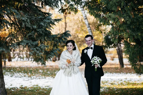 Bellissimo matrimonio invernale — Foto Stock