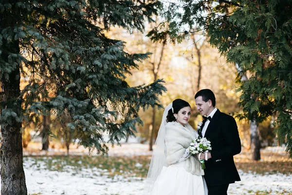 Bellissimo matrimonio invernale — Foto Stock