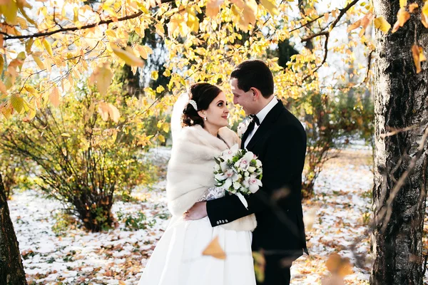 Bellissimo matrimonio invernale — Foto Stock