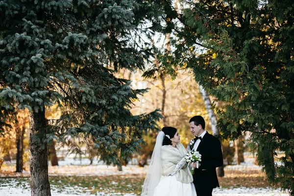 Schöne Winterhochzeit — Stockfoto