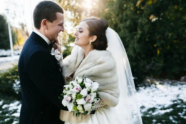 Schöne Winterhochzeit — Stockfoto