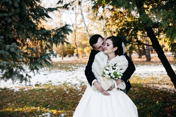 Bellissimo matrimonio invernale — Foto Stock