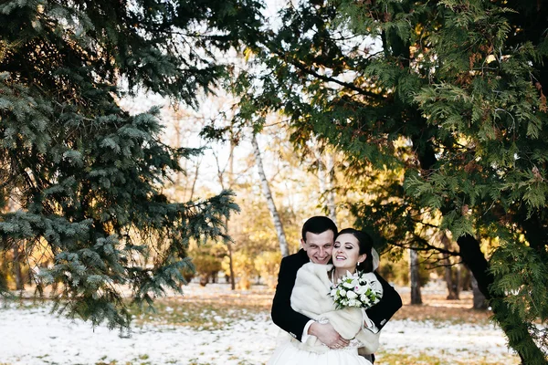 Όμορφο χειμερινό γάμο — Φωτογραφία Αρχείου