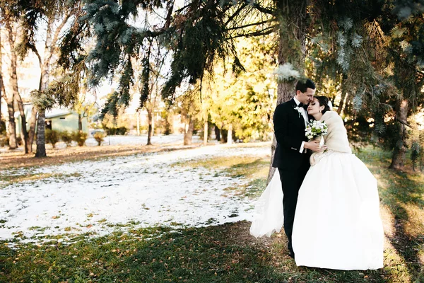 Gyönyörű téli esküvő — Stock Fotó