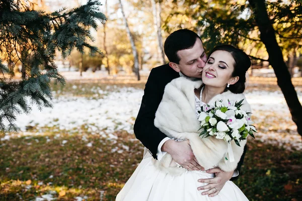 Krásné zimní svatba — Stock fotografie