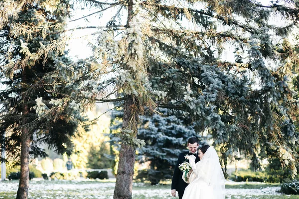 Bellissimo matrimonio invernale — Foto Stock