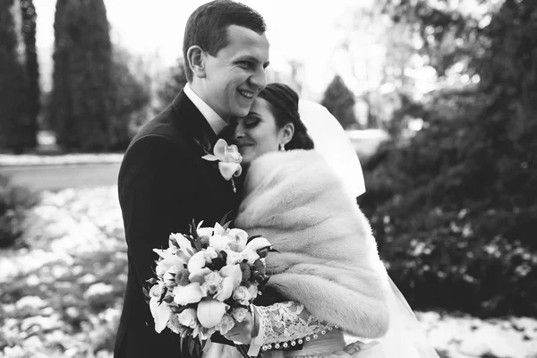 Krásné zimní svatba — Stock fotografie
