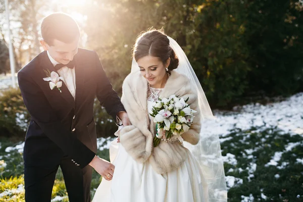 Schöne Winterhochzeit — Stockfoto