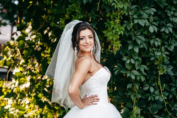 Hermosa novia posando en su día de boda — Foto de Stock
