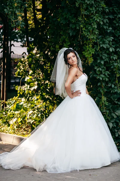 Hermosa novia posando en su día de boda — Foto de Stock