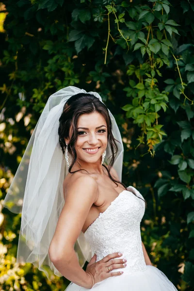 Hermosa novia posando en su día de boda — Foto de Stock