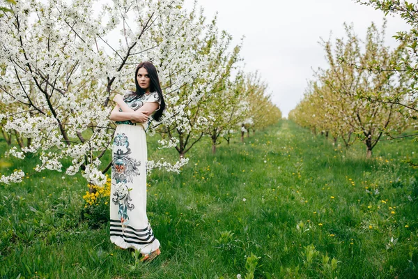 Menina de passeio de primavera em um belo pomar de cereja — Fotografia de Stock