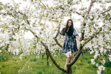 Bahar yürüyüş kız güzel bir vişne Bahçesi