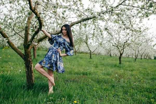 Printemps promenade fille dans un beau verger de cerisiers — Photo