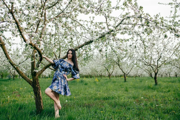 一个漂亮的樱桃果园春天步行女孩 — 图库照片