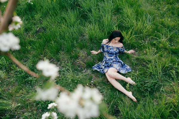 Bahar yürüyüş kız güzel bir vişne Bahçesi — Stok fotoğraf