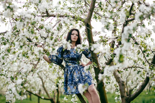 Printemps promenade fille dans un beau verger de cerisiers — Photo