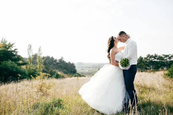 Colpo nuziale di sposa e sposo in parco — Foto Stock