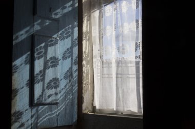 pencere, gölge, perde, rustik ev, çiçek, ağaç, dokular, güneş, ışık