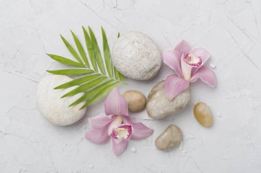 Beton zemin üzerinde orkideler ve masaj taşları olan kompozisyon, üst görünüm