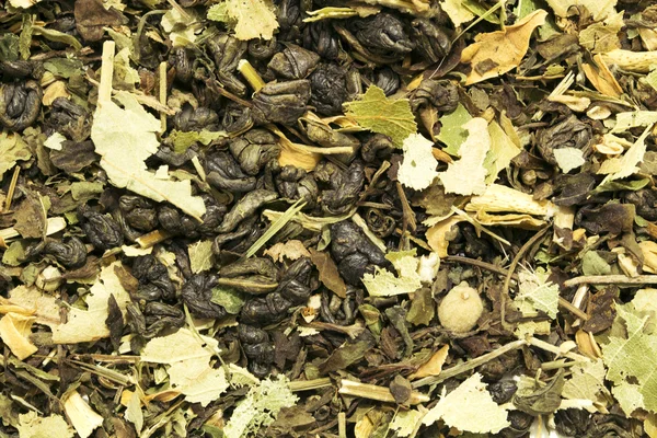 Algunas hojas de té secas . — Foto de Stock