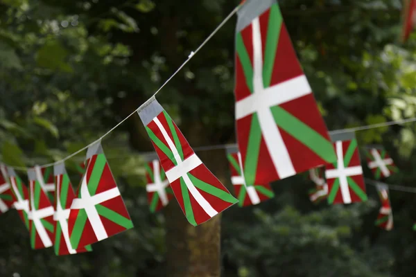 Basque country flags flying in a park with trees. — Stock Photo, Image