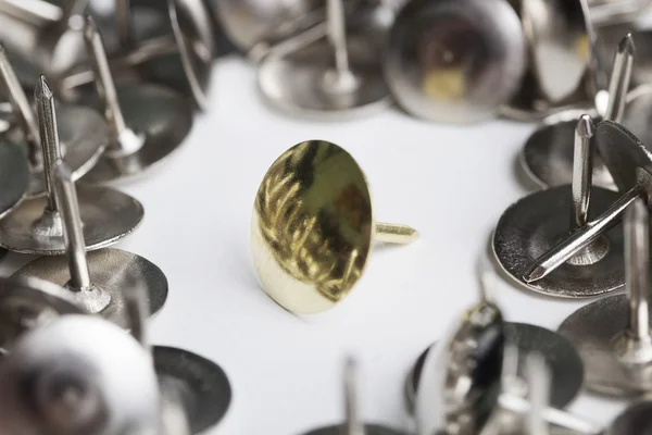 Önemli raptiye. Bireysellik kavramı. Liderlik.