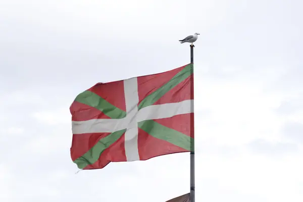 Bask Ülkesi bayrağı ile kutup deniz martı.