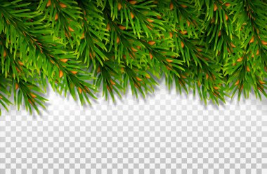 Fireches Gerçekçi Biçim Vektörüyle Çerçeve