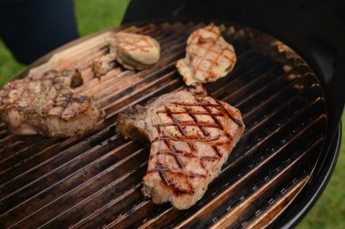 Izgara zaman yaz pikniği