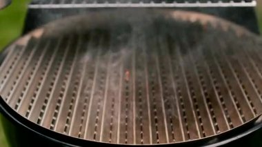 Izgara zaman yaz piknikte yangın ızgara hazırlığı başlatılıyor