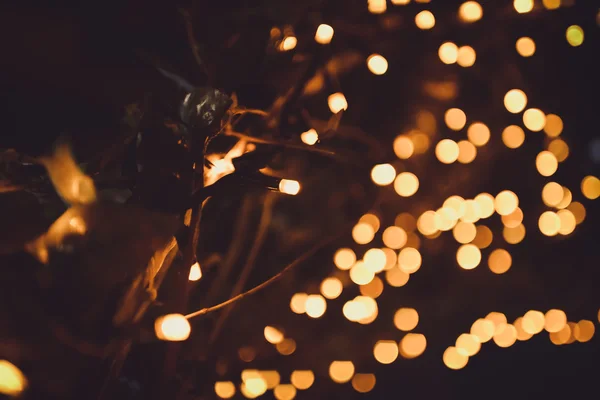 Luces de Navidad Abstracciones —  Fotos de Stock