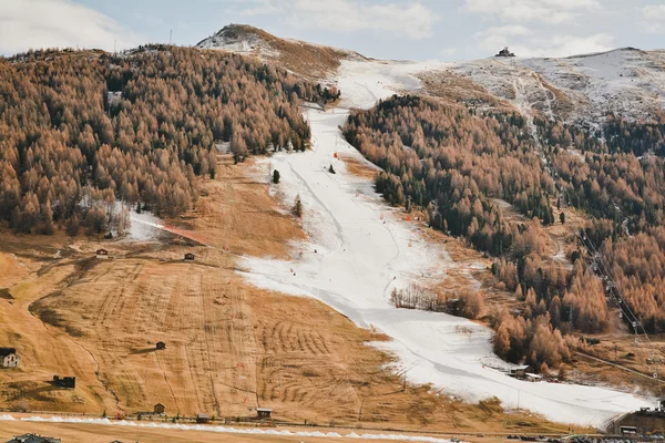 Stok narciarski fajne — Zdjęcie stockowe
