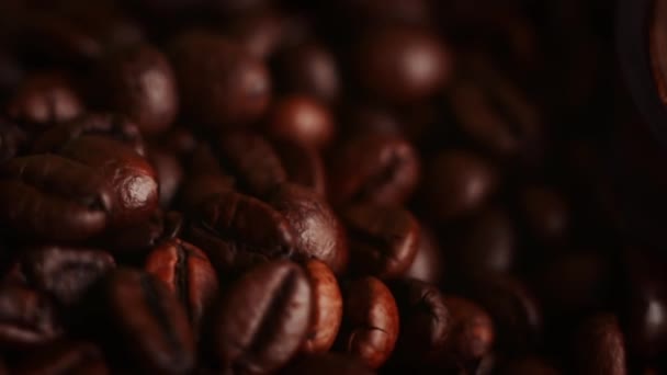 コーヒー豆は、Grinding.Very クローズ アップのマクロ写真のエスプレッソ マシンに読み込まれます — ストック動画
