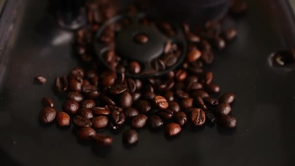 Темні кавові зерна в кавовій машині — стокове відео